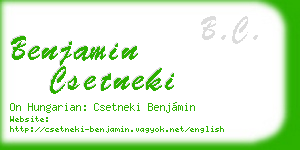 benjamin csetneki business card